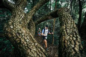 BIB: 
                            <button type="button" onclick="openModal(25394117)" class="btn btn-primary btn-sm float-right btn-popup" data-toggle="modal" data-target=".modal-high-quality">
                        <i class="fas fa-shopping-cart"></i> Add to Cart
                    </button>
                                            <button type="button" onclick="isThisMe(25394117, true)" class="btn btn-success btn-sm float-right btn-popup btn-isme hidden" data-toggle="tooltip" data-placement="bottom" title="นี่คือรูปของคุณใช่ไหม คลิกที่นี่เพื่อเอาเข้าอัลบั้ม">
                        <i class="fas fa-plus"></i> Add to album
                    </button>
                    <button type="button" onclick="isThisMe(25394117, false)" class="btn btn-warning btn-sm float-right btn-popup btn-isnotme hidden">
                        <i class="fas fa-ban"></i> Remove from album
                    </button>